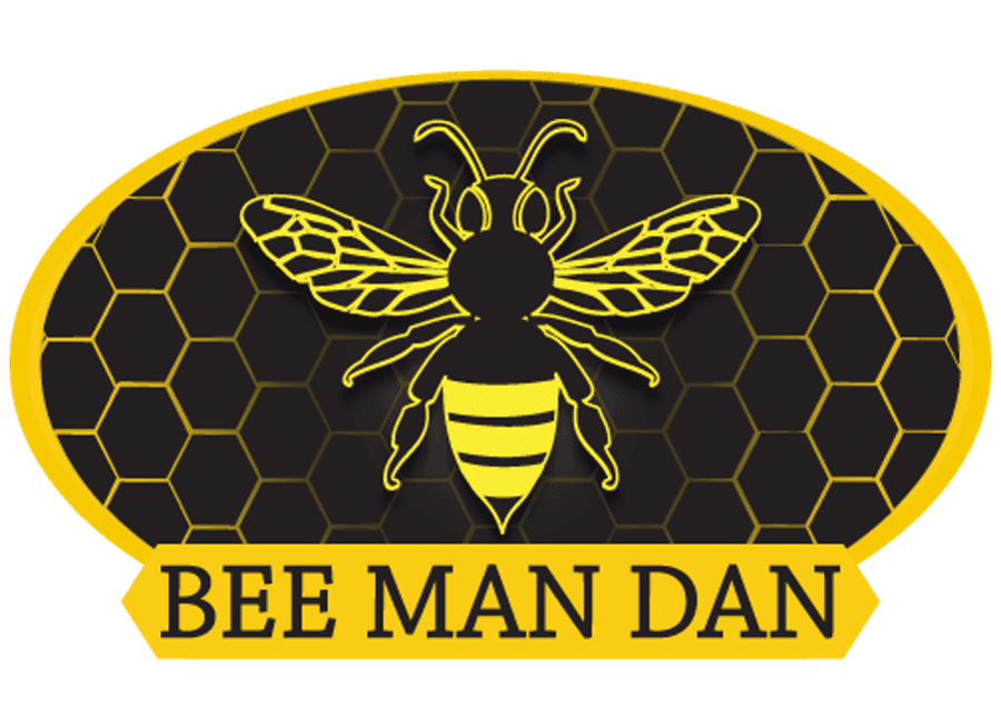 Bee Man Dan